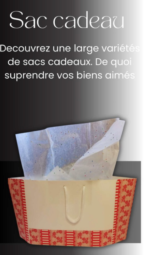 Sac Cadeaux en papier Kraft